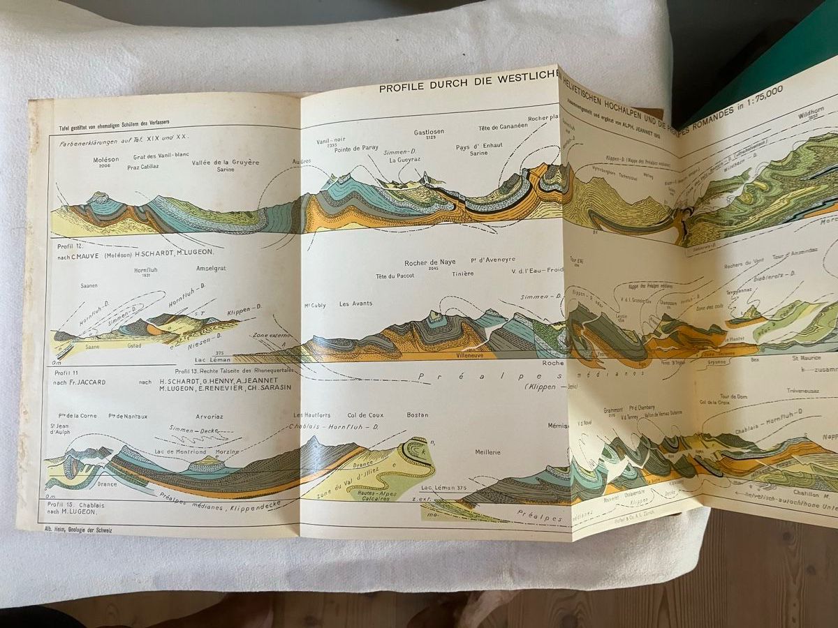 Libri: Albert Heim Geologie der Schweiz – Usato da ZUERICH venduto da Carolus1 3