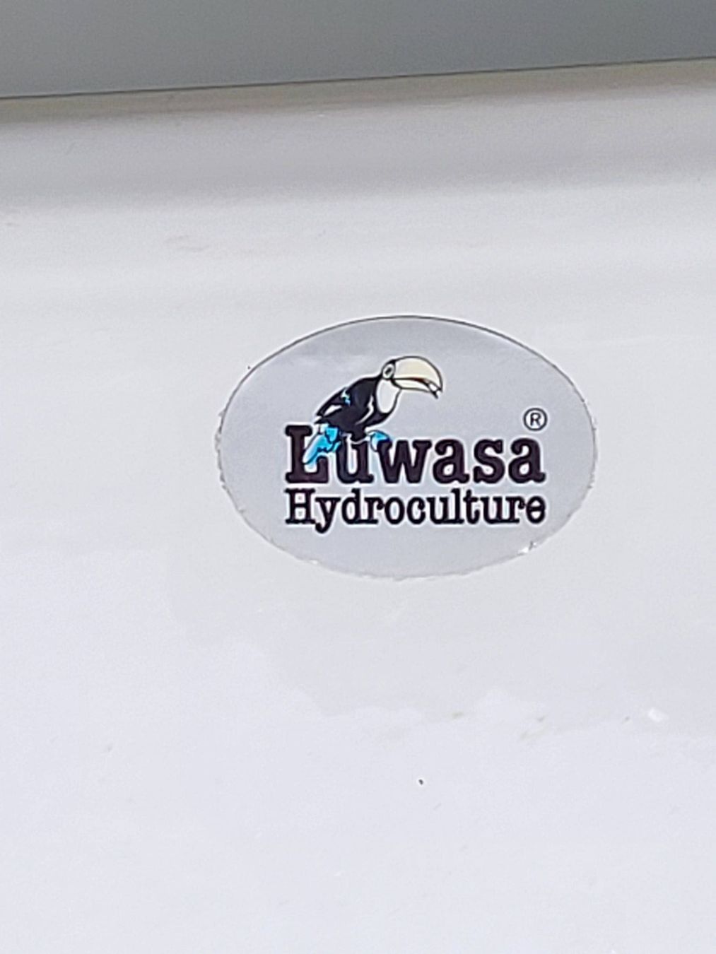 Luwasa Vasi per fiori: Grosser Pflanzentopf, Luwasa – Usato da Uster venduto da gurust 3