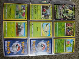 Collection non complète Pokémon Epée Bouclier