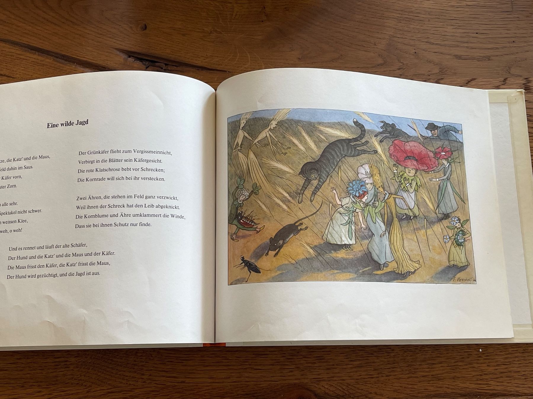 Libri: Blumen-Märchen von Else Freidolf (Nostalgie) – Usato da Zuerich venduto da Dorsi 2