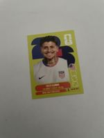 FIFA WM 2026 Diego Luna USA 14