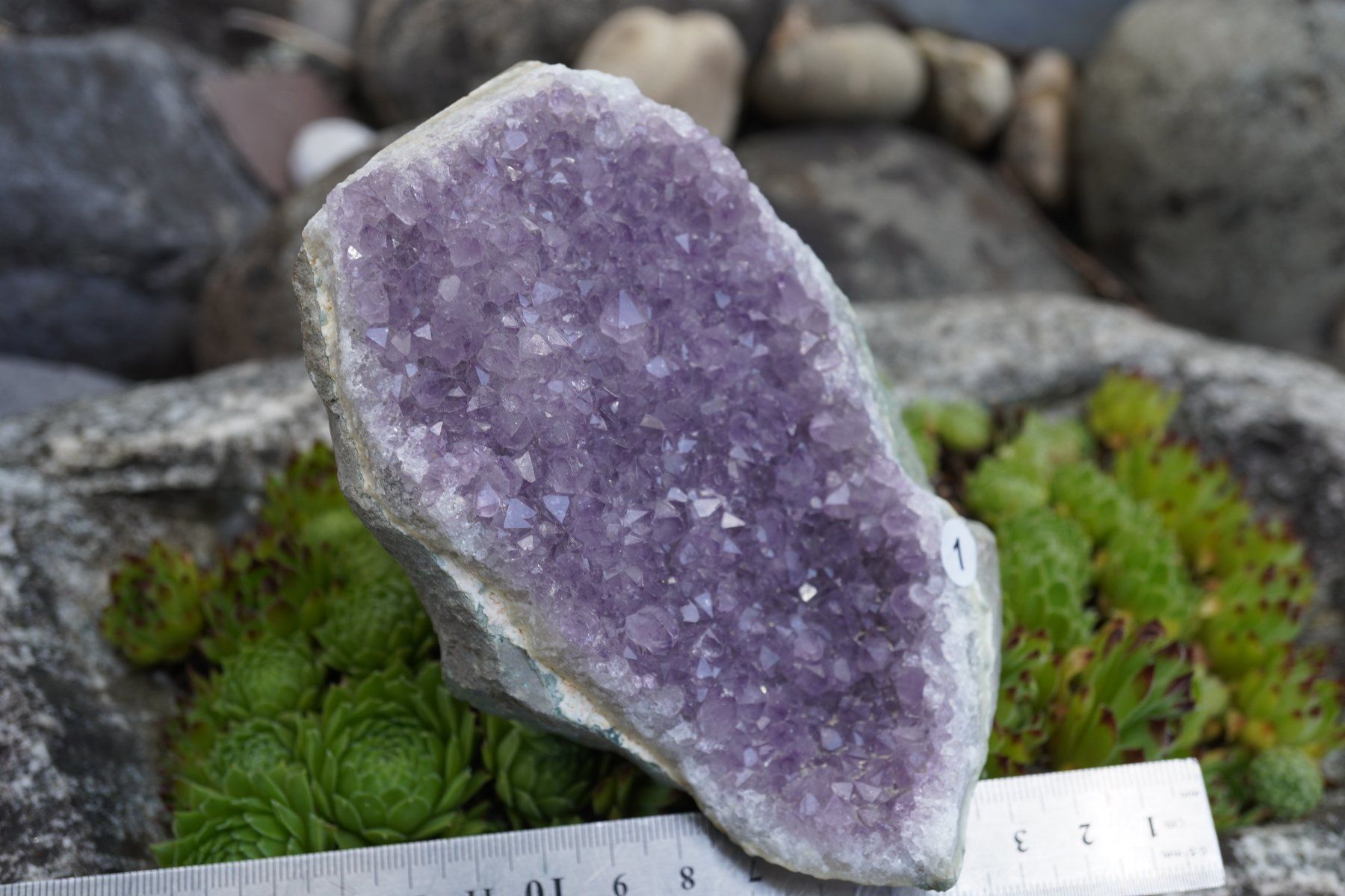 Minerali & Pietre curative: Amethyst Drusen Stück  ca 13cmx 8cm    no1 – Nuovo e nell'imballaggio originale da Eschenbach SG venduto da topstone