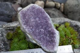 Amethyst Drusen Stück  ca 13cmx 8cm    no1