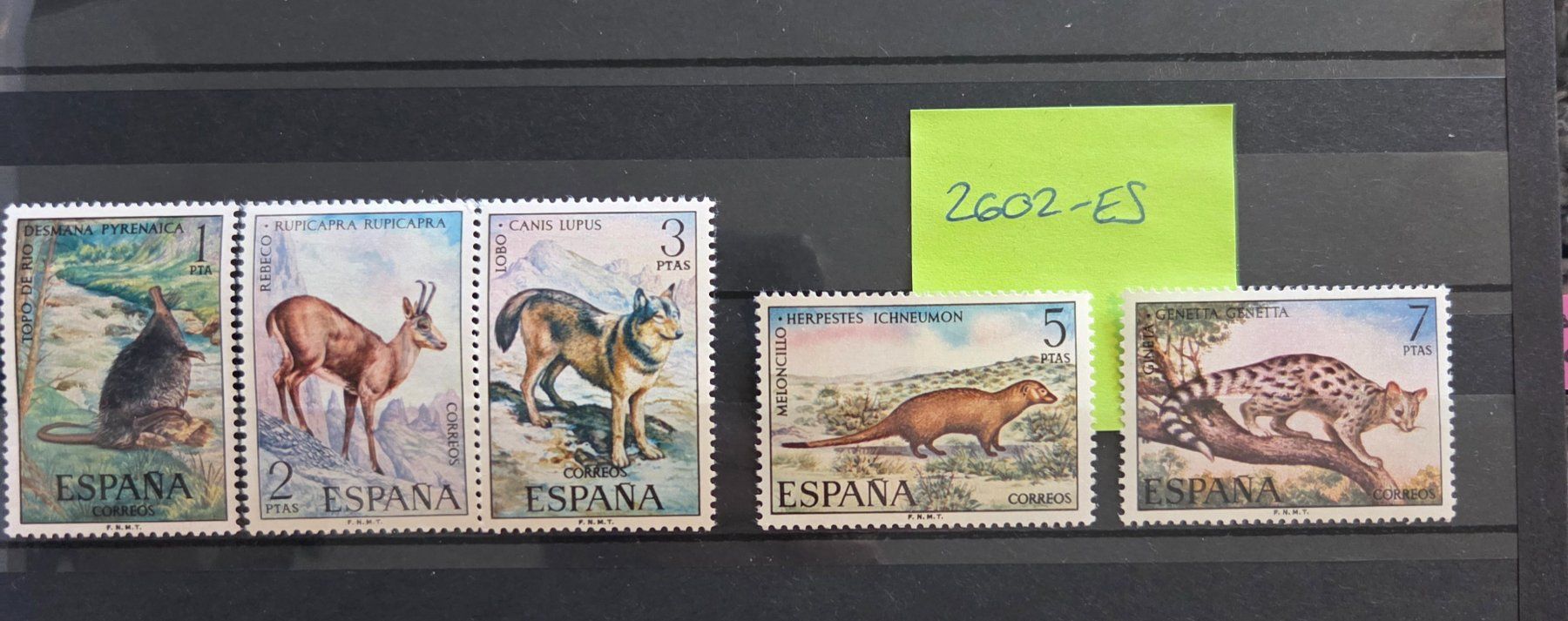 Tous les timbres: Briefmarken Spanien 2602-ES – D'occasion à Köniz par Briefmarken_Frau