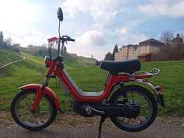 Piaggio Gilera 50 CBA 1-Gang Automat Vario