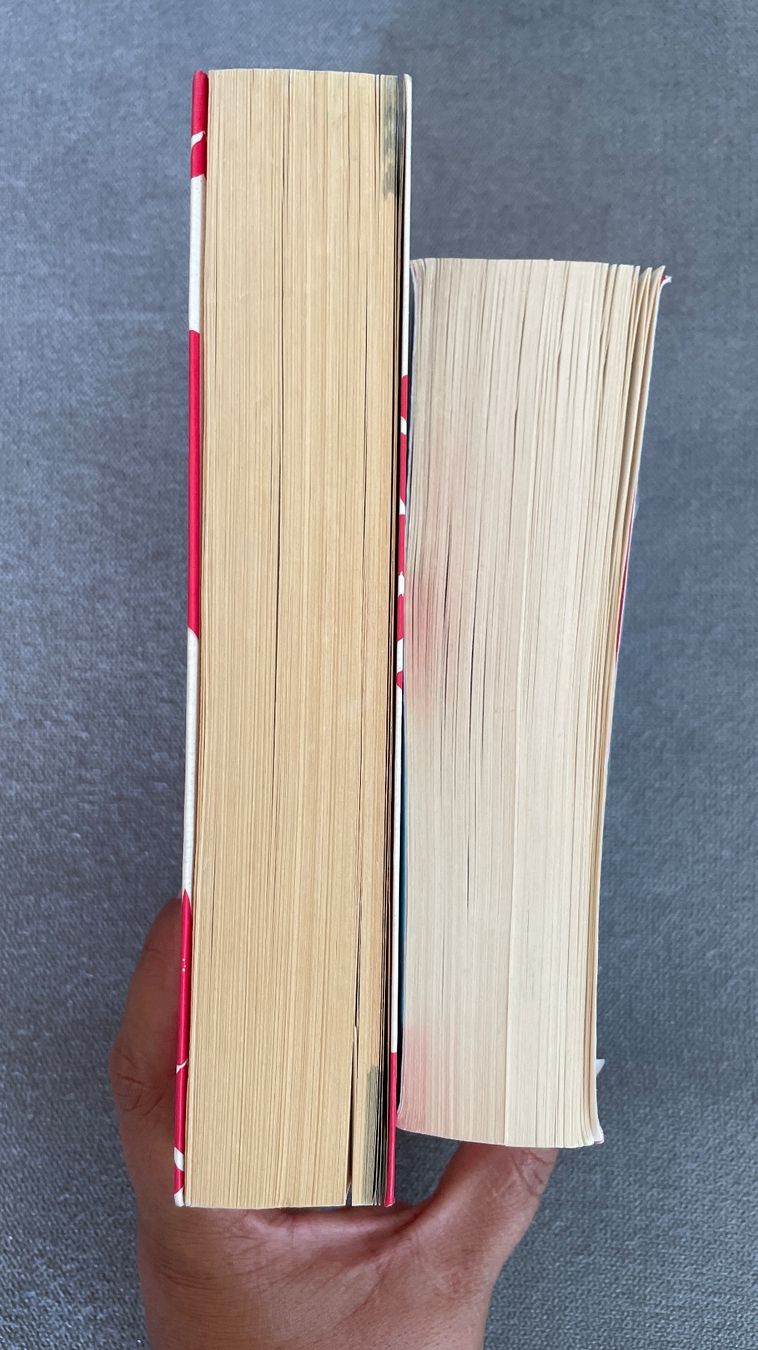 Livres: Lesefutter/ 2 Romane – D'occasion à Gümligen par soleil149 2