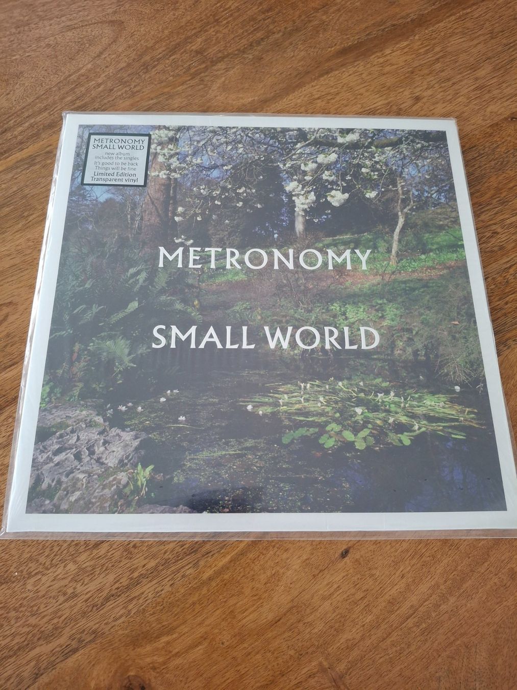 Dischi in vinile: Metronomy - Small World- LP – Usato da LAUSANNE venduto da DESH3