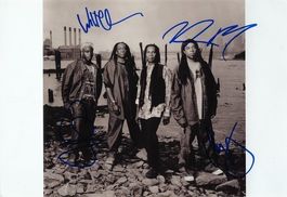 Living Colour Autogramm signiert Foto 20x30cm