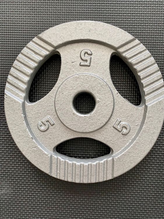 TREXO Gusseisen Hantelscheibe 1,25kg | Universell Für Hanteln | Mit Ergonomischen Griffen