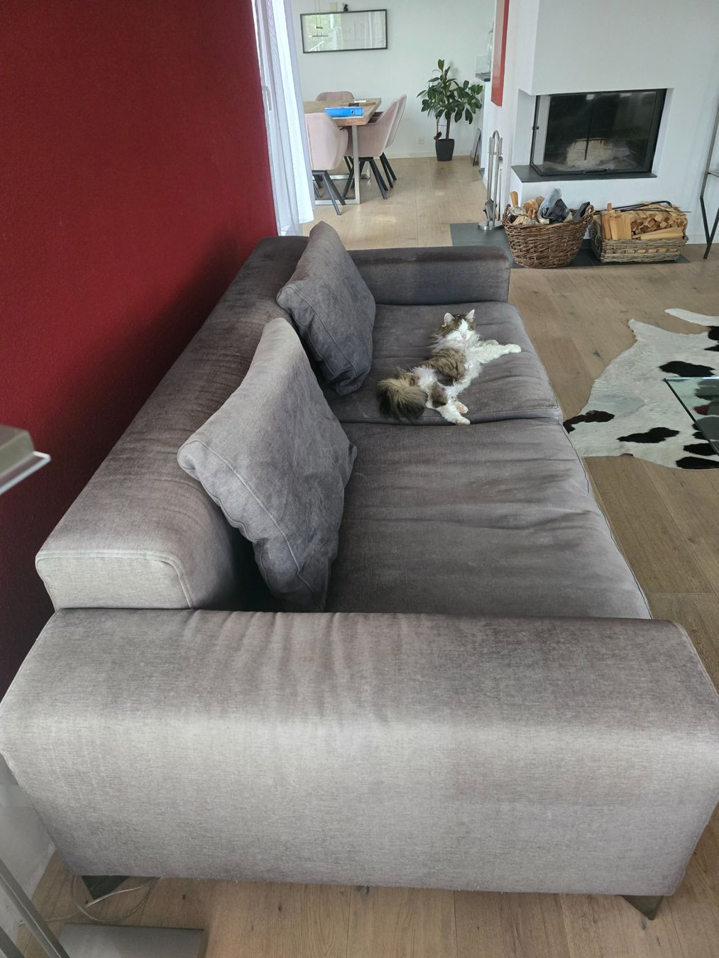 Divani: Busnelli Sofa dunkelgrau 3er und 2er gebraucht – Usato da Matzingen venduto da Lilo1407 1