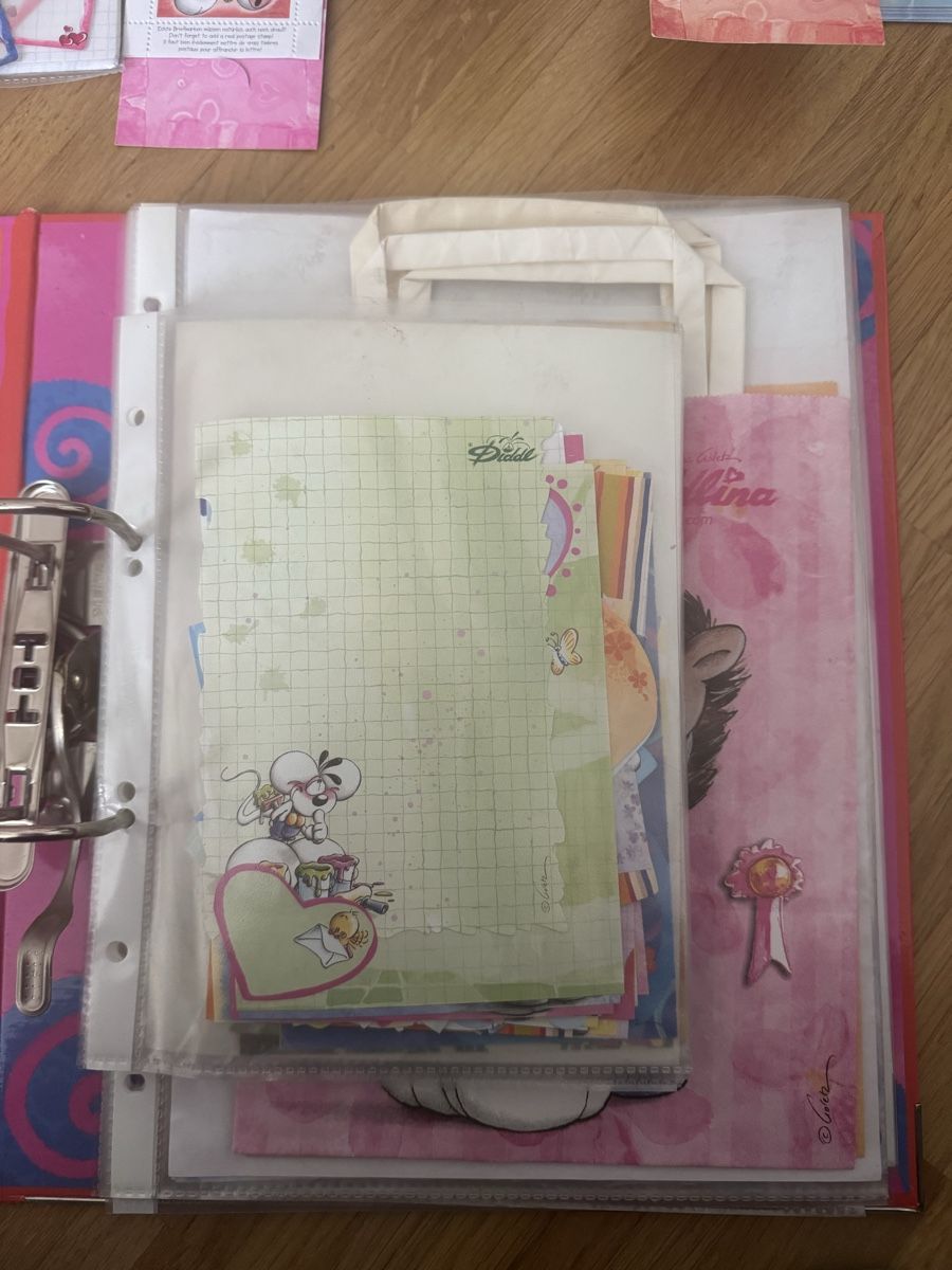 Carte collezionabili: Énorme collection Diddl années 2000 – Usato da Meyrin venduto da mai_pl7s 4