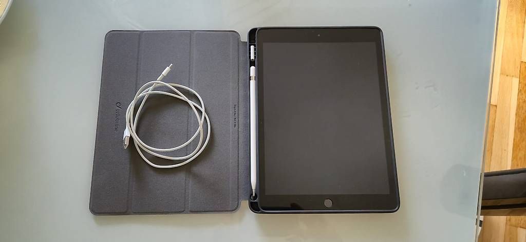 Apple Tablet PC: iPad 2020 8e génération – Usato da Lausanne venduto da DavidDubey 1