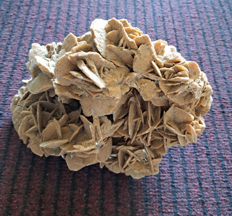 Rose des sables 5kg Kaufen auf Ricardo