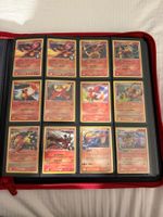 😮‍💨🐊Whole Pokémon Collection!!🔥2007-2010!