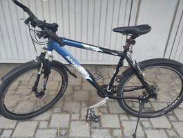 Herrenvelo