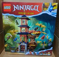 LEGO Ninjago 71795 Tempel der Drachenenergie-Kerne