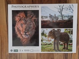 Puzzle 3 x 1000 Teile