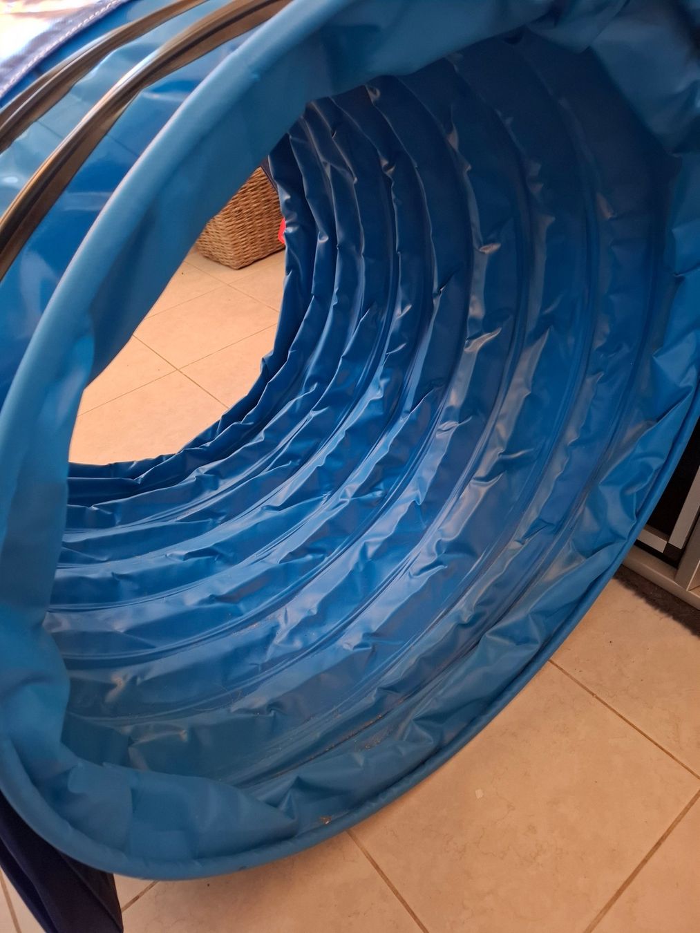 Giocattoli: Agilitytunnel Hund – Nuovo (secondo la descrizione) da Häusernmoos venduto da Darla17 1