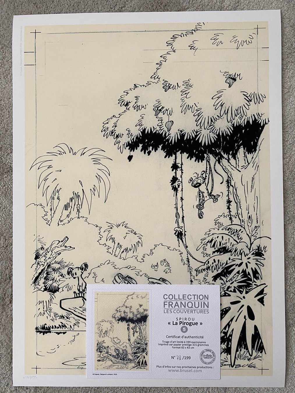 BD: Franquin Spirou "La Pirogue" – D'occasion à Langrickenbach par Myandrin 1