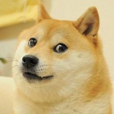 Profile image of enies_lobby