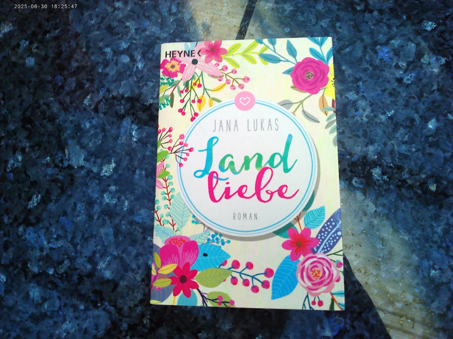 Libri: Landliebe von Jana Lukas – Usato da reitnau venduto da Sib7
