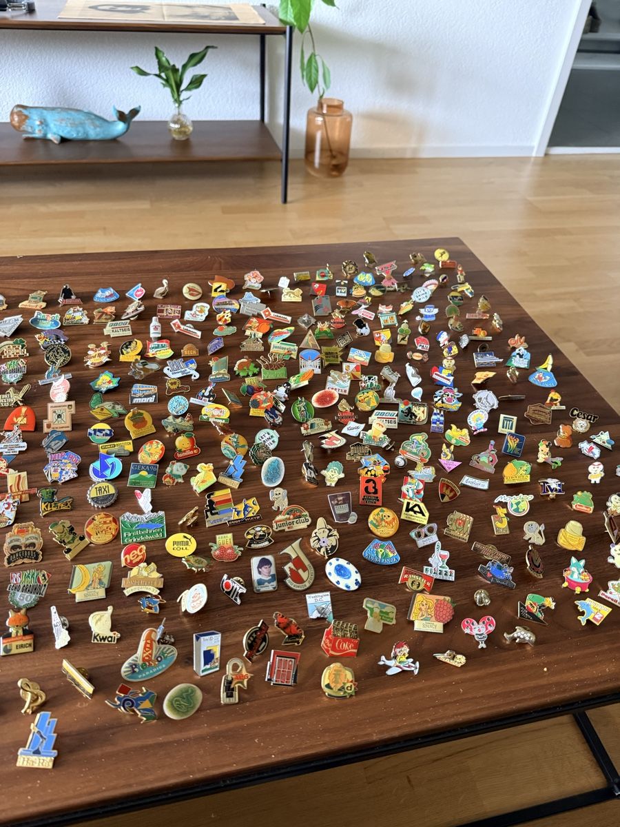 Swiss Plaketten & Abzeichen: PIN - Sammlung – Gebraucht aus Solothurn von NUVICO 7