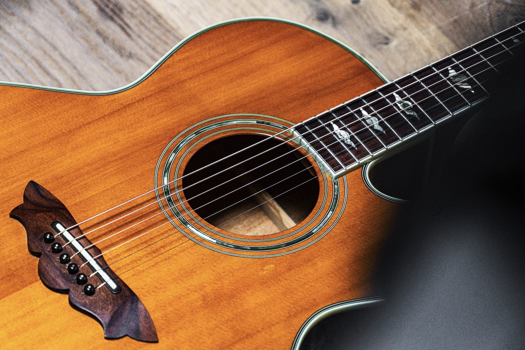 Washburn Strumenti musicali: Washburn Akustikgitarre – Usato da Unterseen venduto da powerpan 1
