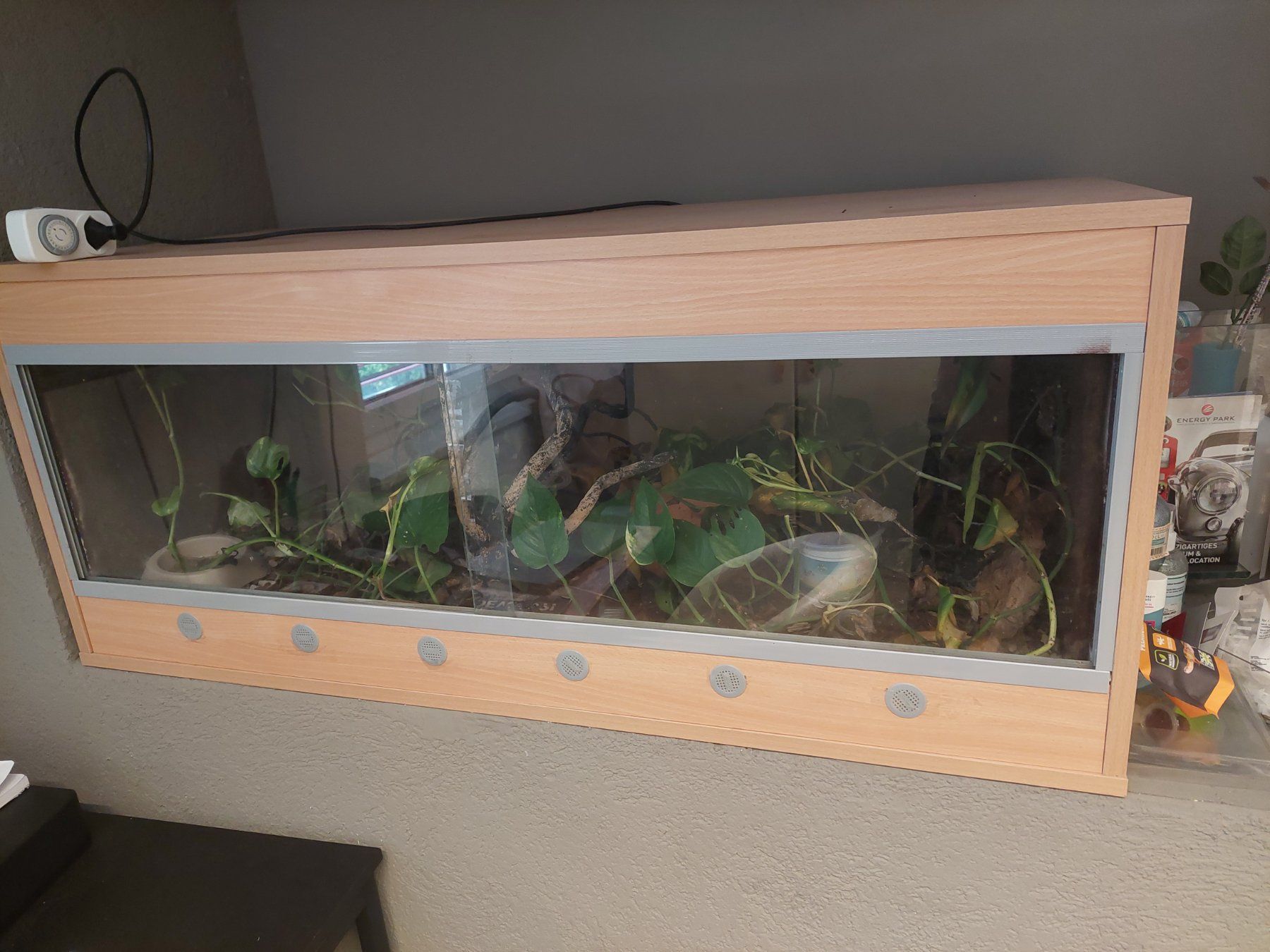 Terrariums: Terrarium – D'occasion à vogelsang ag par ConcordeZH1
