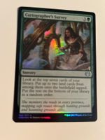1 x Cartographer's Survey - FOIL - Magic: The Gathering