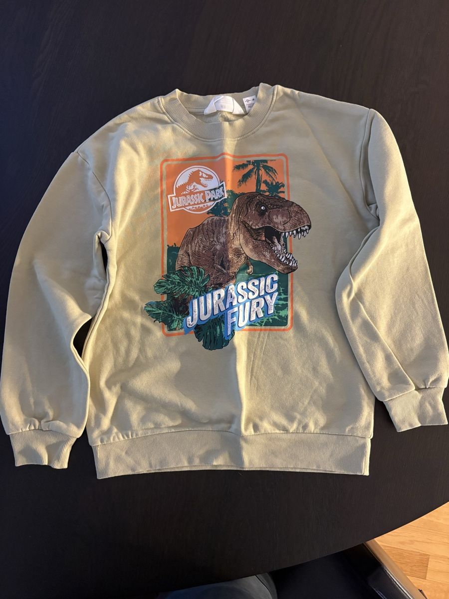 H&M Maglioni & Felpe: Pulli Junge Gr. 134/140 neu – Usato da Winterthur venduto da Baby117