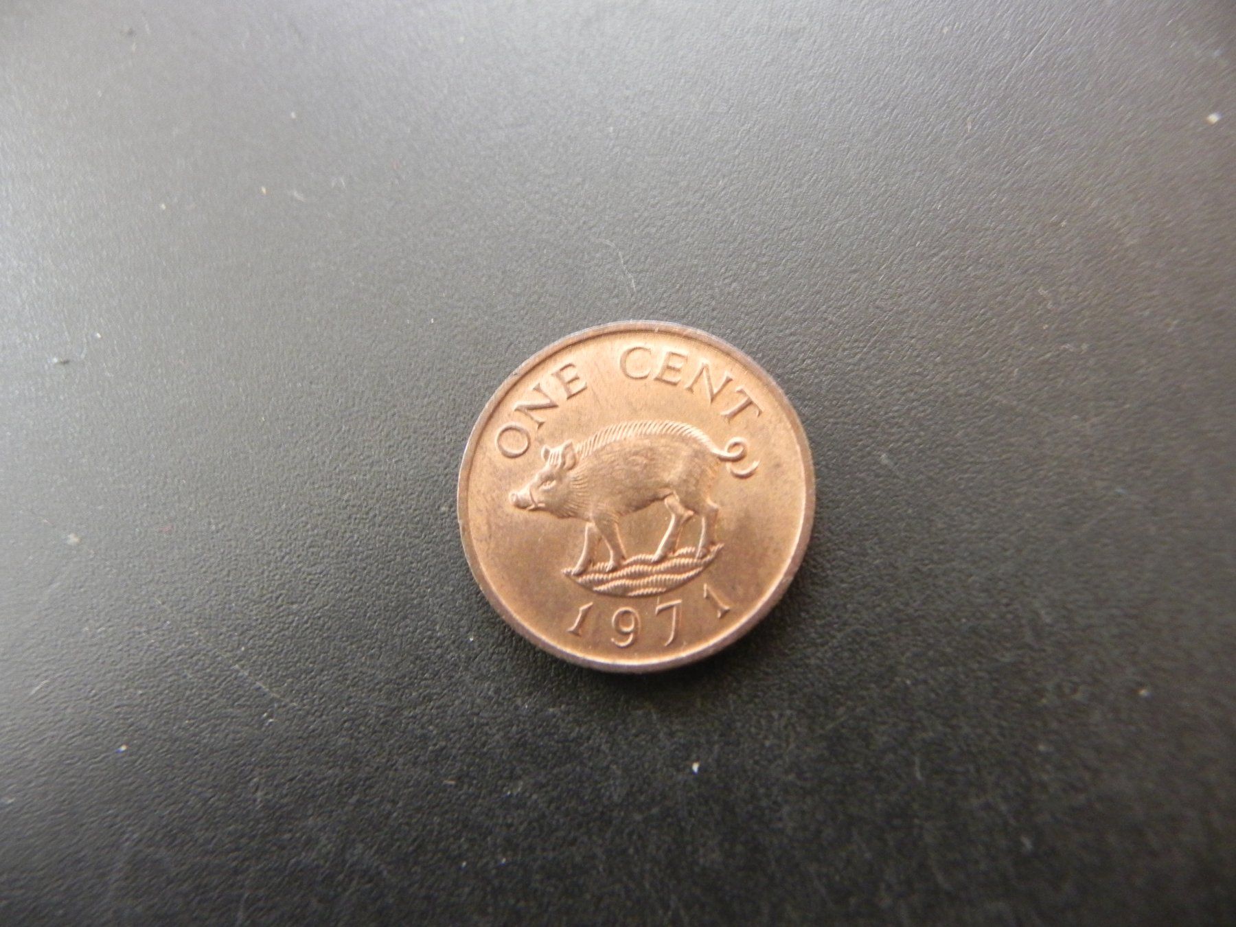 Toutes les monnaies: Bermuda 1 Cent 1971 – D'occasion à Biel/Bienne par Gogolozi