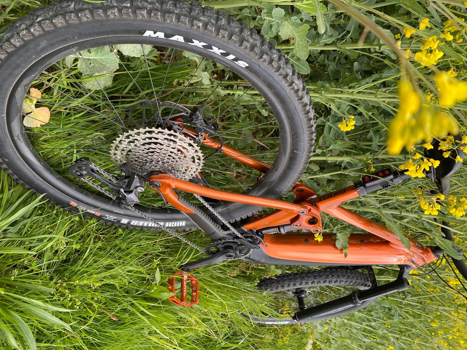 Giant Biciclette: VTT giant électrique enduro L – Usato da Rolle venduto da max_q7zl 3