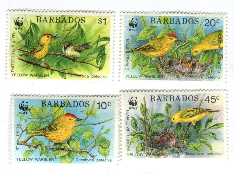 Tutti i francobolli: Briefmarken "Vögel". Barbados. – Nuovo e nell'imballaggio originale da Basel venduto da Butsch5
