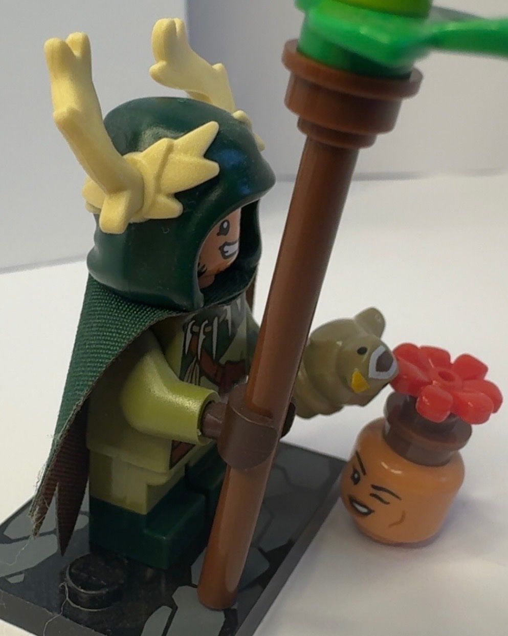 Lego Spielzeuge: LEGO Dungeons & Dragons "Halfling Druid" (coldnd-5) – Gebraucht aus Oftringen von Donovan_- 5