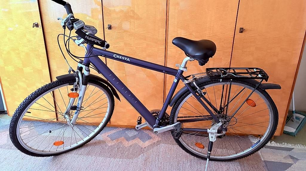 Cresta Biciclette: Cresta Swiss Trekkking Rad – Usato da Zeiningen venduto da lam_dph7