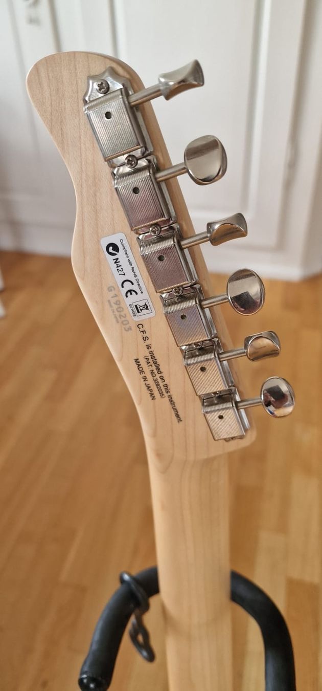 Instruments de musique: FGN Boundary Odyssey / Telecaster-Style – Neuf (Voir description) à Sulgen par SDiddy 5