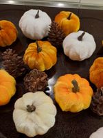 Deko Kürbisse und Tannenzapfen Set Herbst Dekoration
