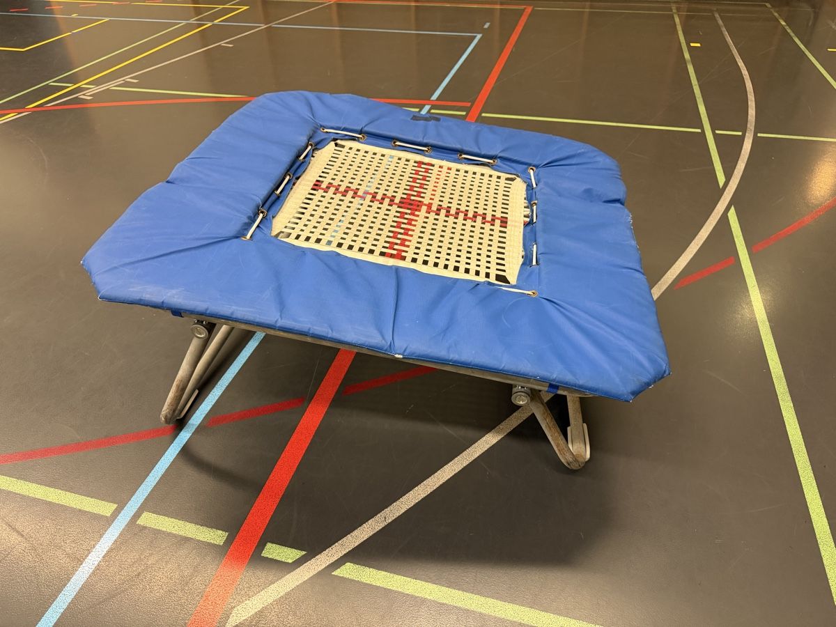 Trampoline: Mini Trampolin blau mit Federn gebraucht – Gebraucht aus Zürich von Frodokauft