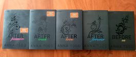 Liebesroman Reihe Anna Todd