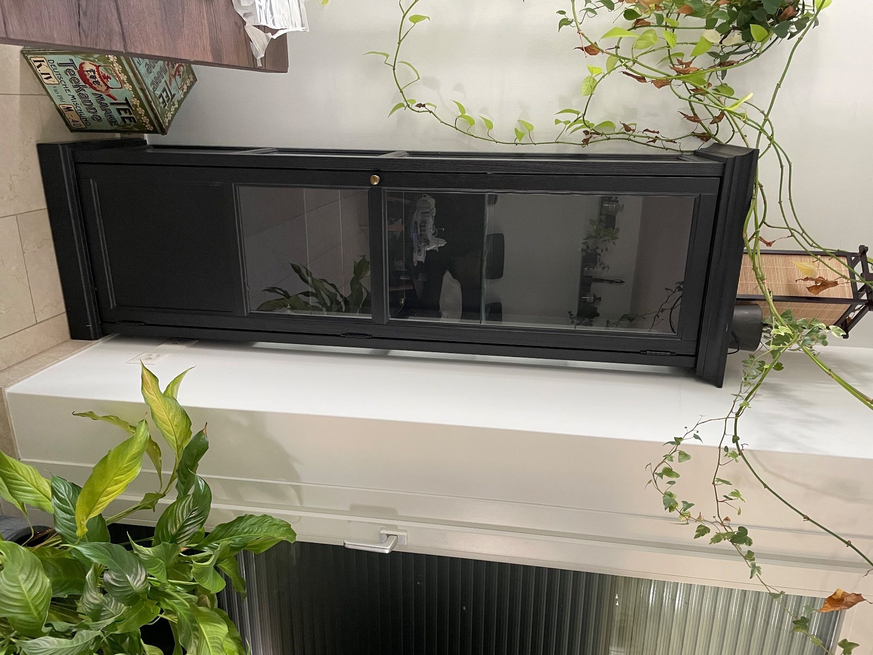 Ikea Vitrines: Glasvitrine – D'occasion à Chur par Papillon404