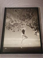 Patrick Demarchelier Photographies Editions du Collectioneur