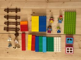 LEGO DUPLO Set 5: 14 2x4 & 35 2x2 Bausteine, Tiere, Figürli