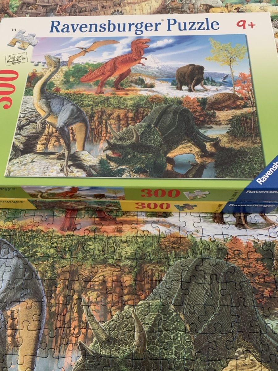 Ravensburger Puzzle: Ravensburger Puzzle 300 pièces .2 puzzles. – Nuovo (secondo la descrizione) da Prilly venduto da Sissi_1009 7