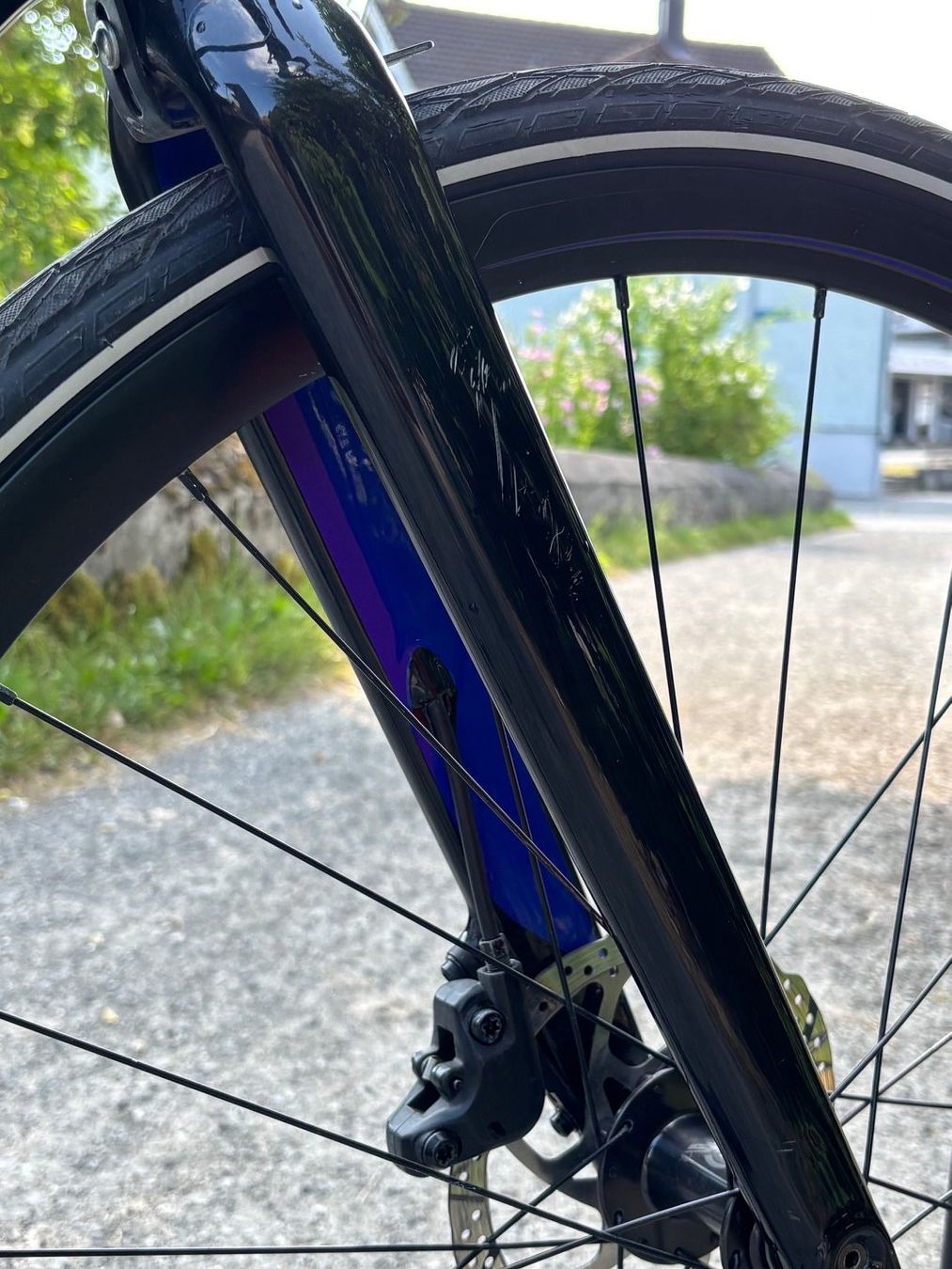 Specialized Biciclette: Sirrus Elite Carbon – Usato da Grabs venduto da Windancer 6
