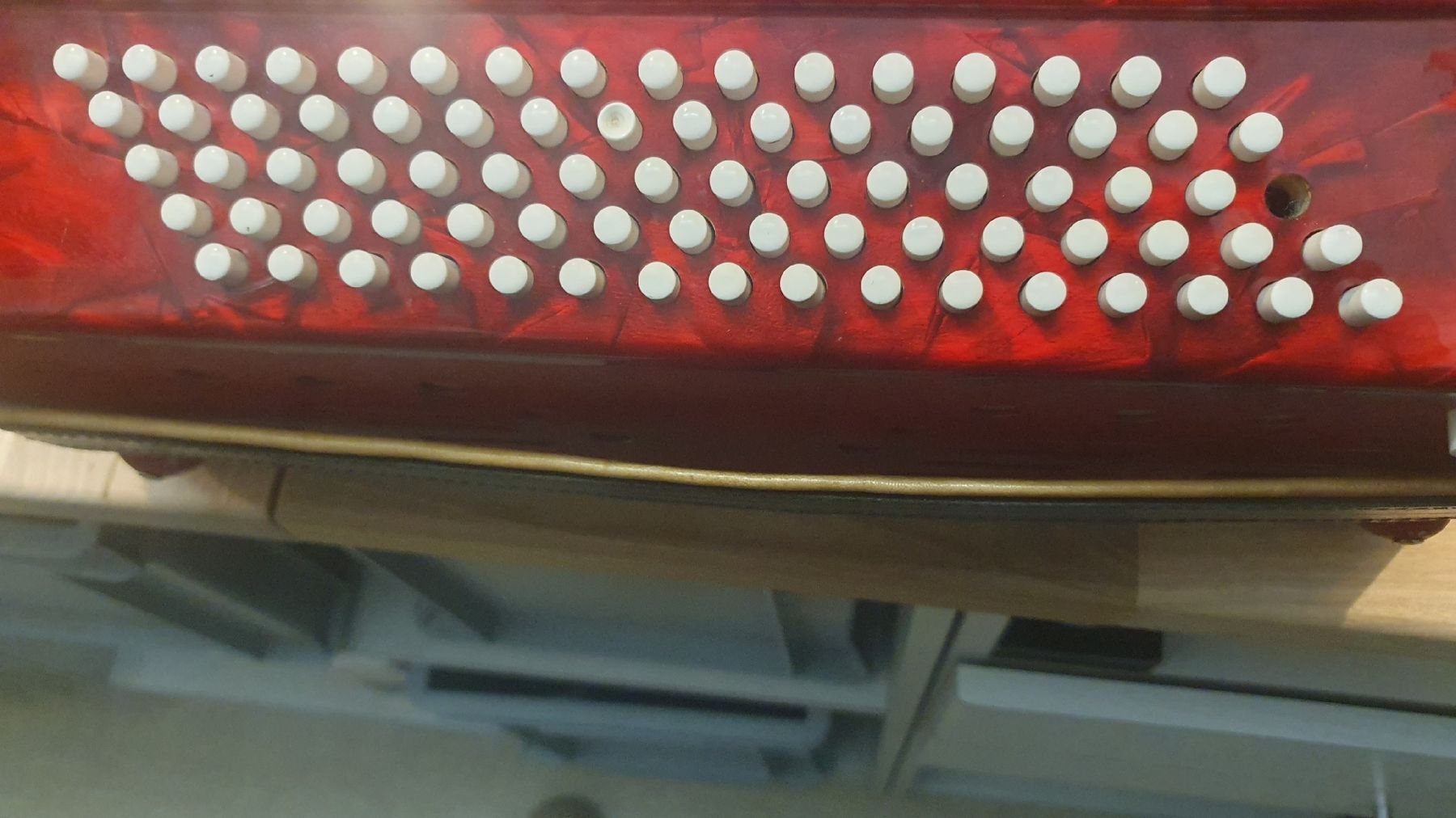 Strumenti musicali: Akkordeon der Marke Champion – Usato da Rafz venduto da YEL01 3