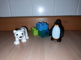 Lego Duplo Polartiere 10501