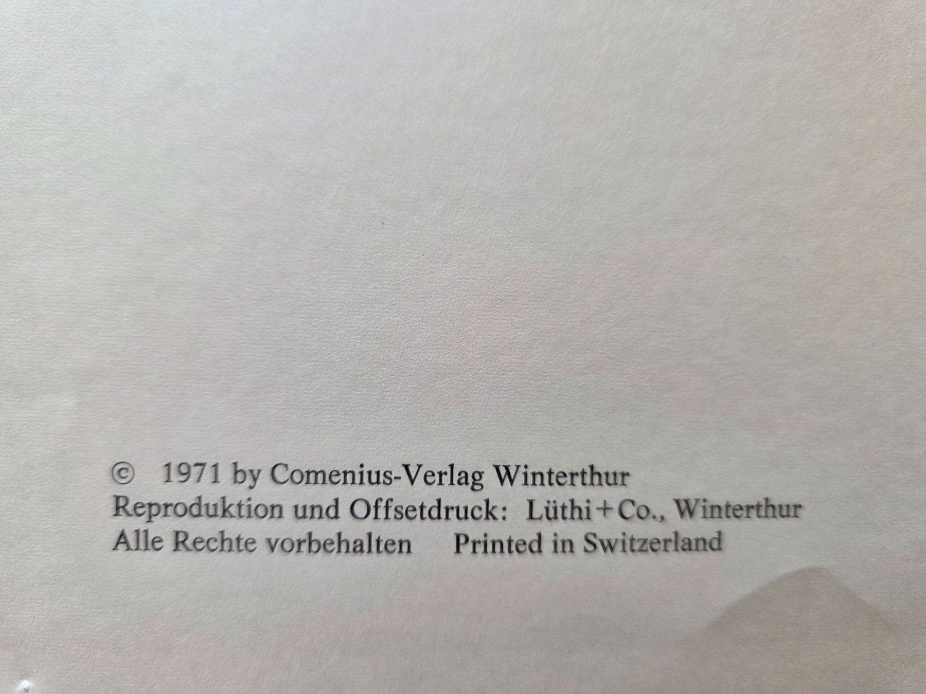 Libri: Die Arche Noah - Marieluise Häny - 1971 – Usato da Walterswil BE venduto da Lonitti 5