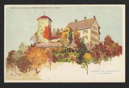 Carte Postale Peter & Kohler : CHÃTEAU DE WILDENSTEIN 1910s