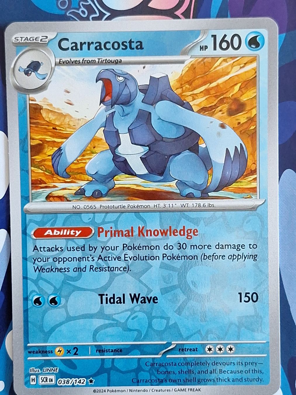 Pokémon Carte collezionabili: Carracosta - Reverse Holo Pokemon Stellar Crown - #7.3 – Usato da Altstätten SG venduto da GGsGameshop