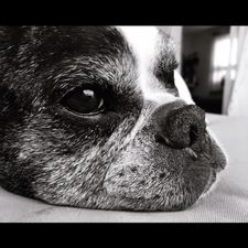 Profile image of libi.13